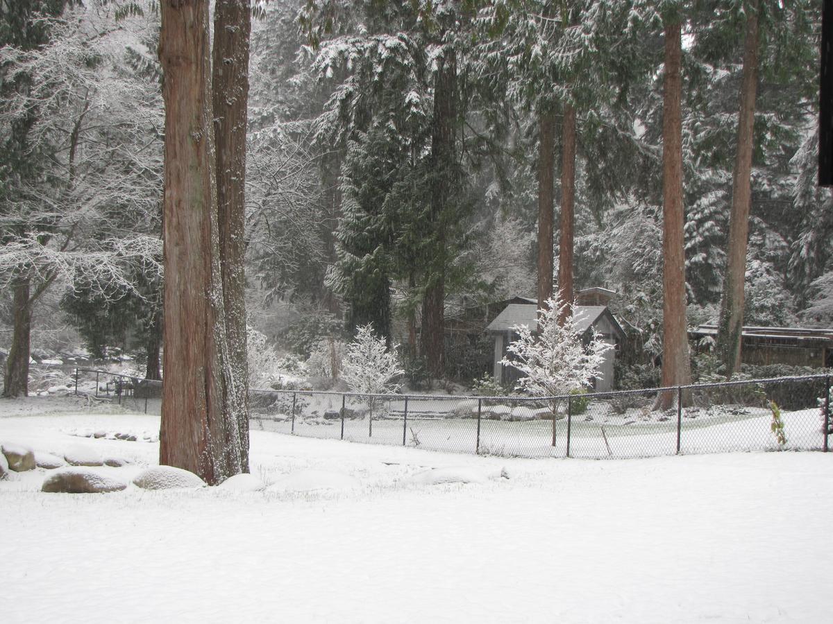 Riverfront Bed And Breakfast Lynn Creek Esterno foto